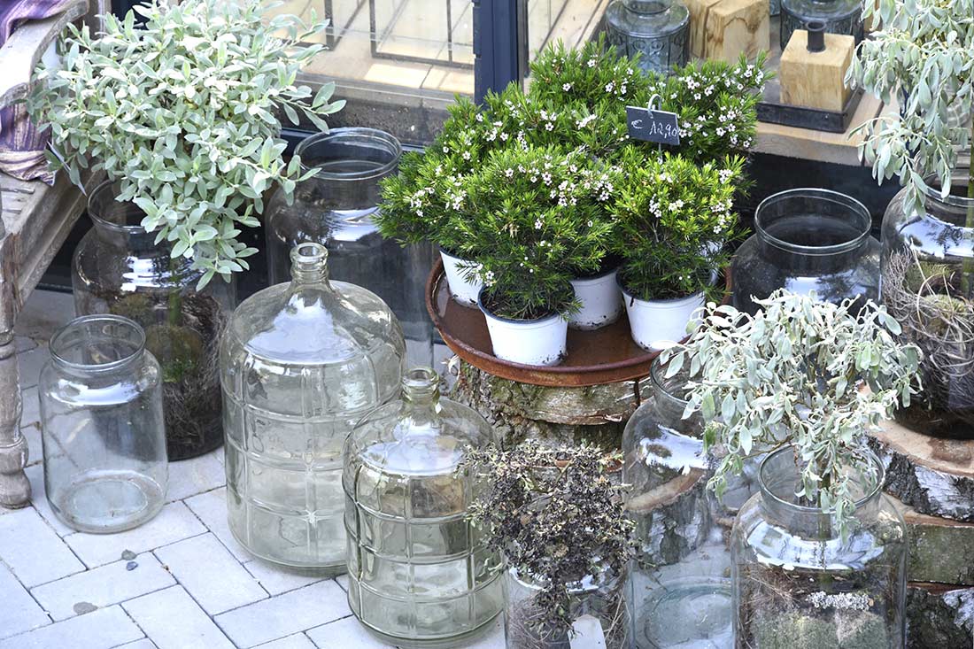 Blumen und schöne Dinge im Laden im Garten – Aufnahme 2