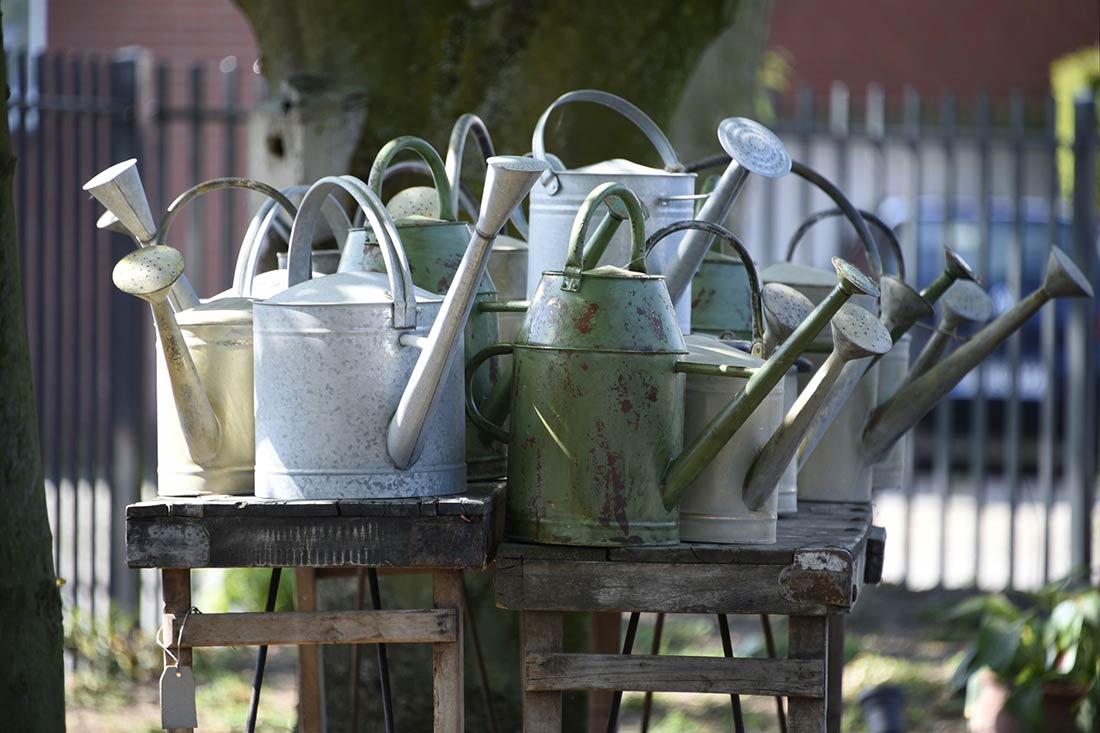 Blumen und schöne Dinge im Laden im Garten – Aufnahme 21