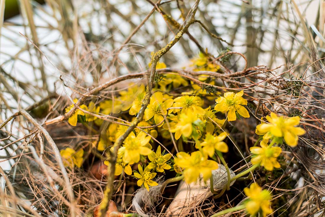 Blumen und schöne Dinge im Laden im Garten – Aufnahme 39