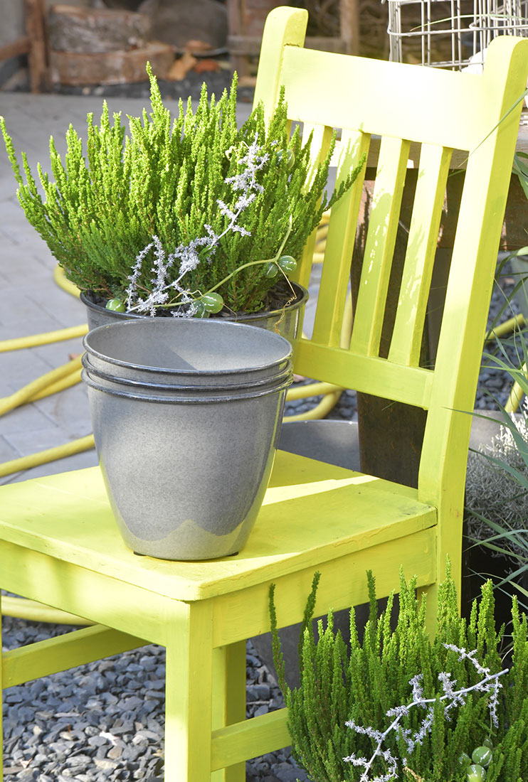 Blumen und schöne Dinge im Laden im Garten – Aufnahme 4